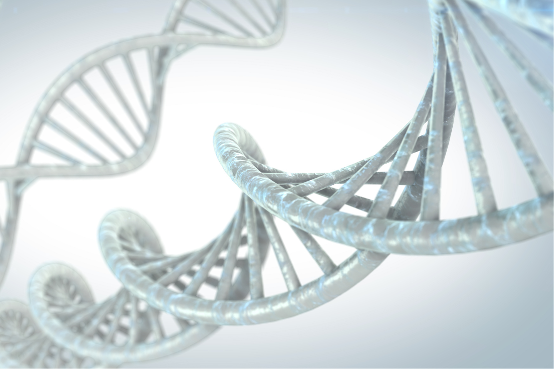 Epigenetics: How Your Choices Shape Your Genes